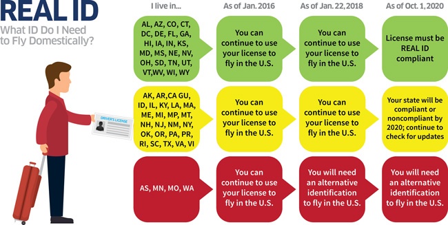 How to Spot a Fake I.D. Infographic - Drivers License Guide