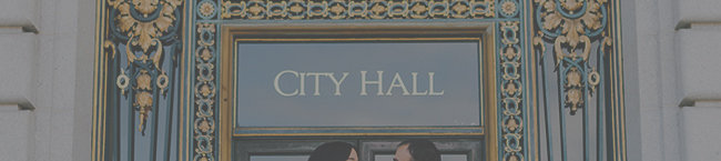 municipal government fraud prevention solutions